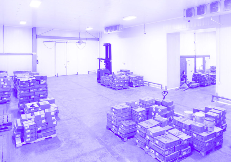 Bodega